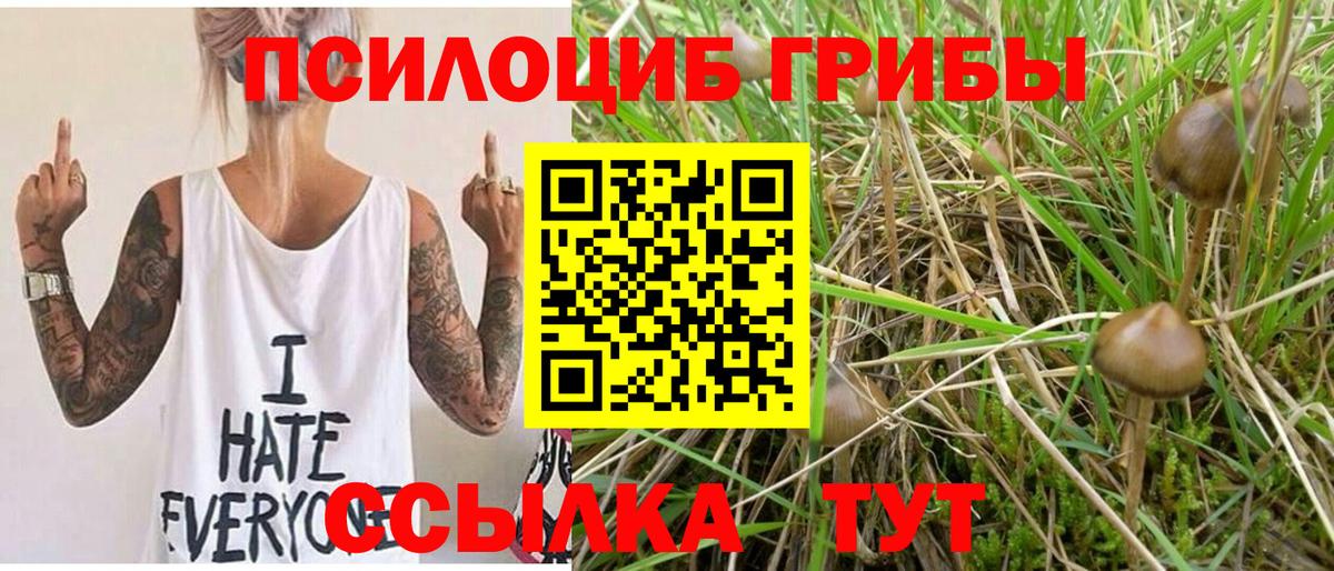 Псилоцибиновые грибы Cubensis Нефтекумск